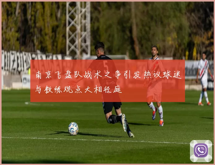 南京飞盘队战术之争引发热议球迷与教练观点大相径庭