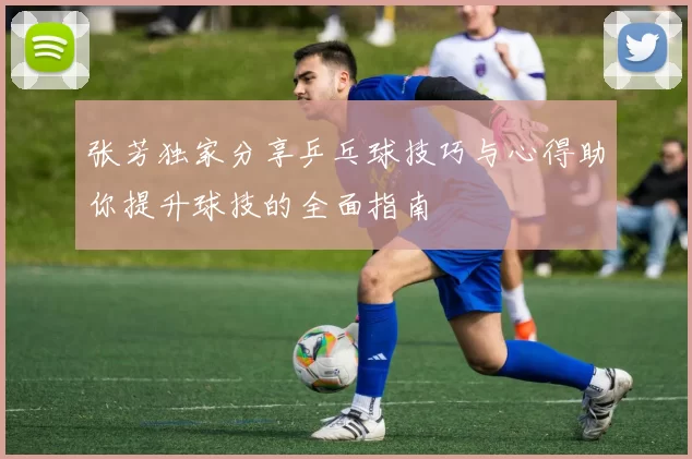 张芳独家分享乒乓球技巧与心得助你提升球技的全面指南