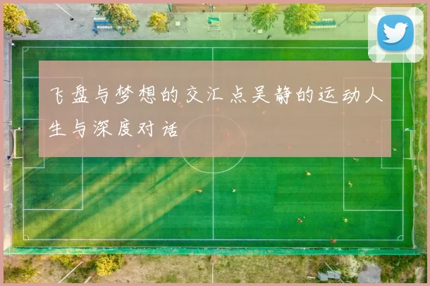 飞盘与梦想的交汇点吴静的运动人生与深度对话