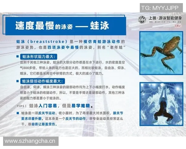 提高游泳技巧的关键训练方法与科学分析，全面解析各项泳姿的技术要点