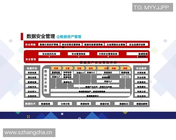 以信息安全为核心构建全面防护体系促进数字化转型与创新发展